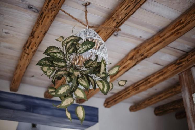 Villa Vivienda Rural Del Salado Jaén Esterno foto